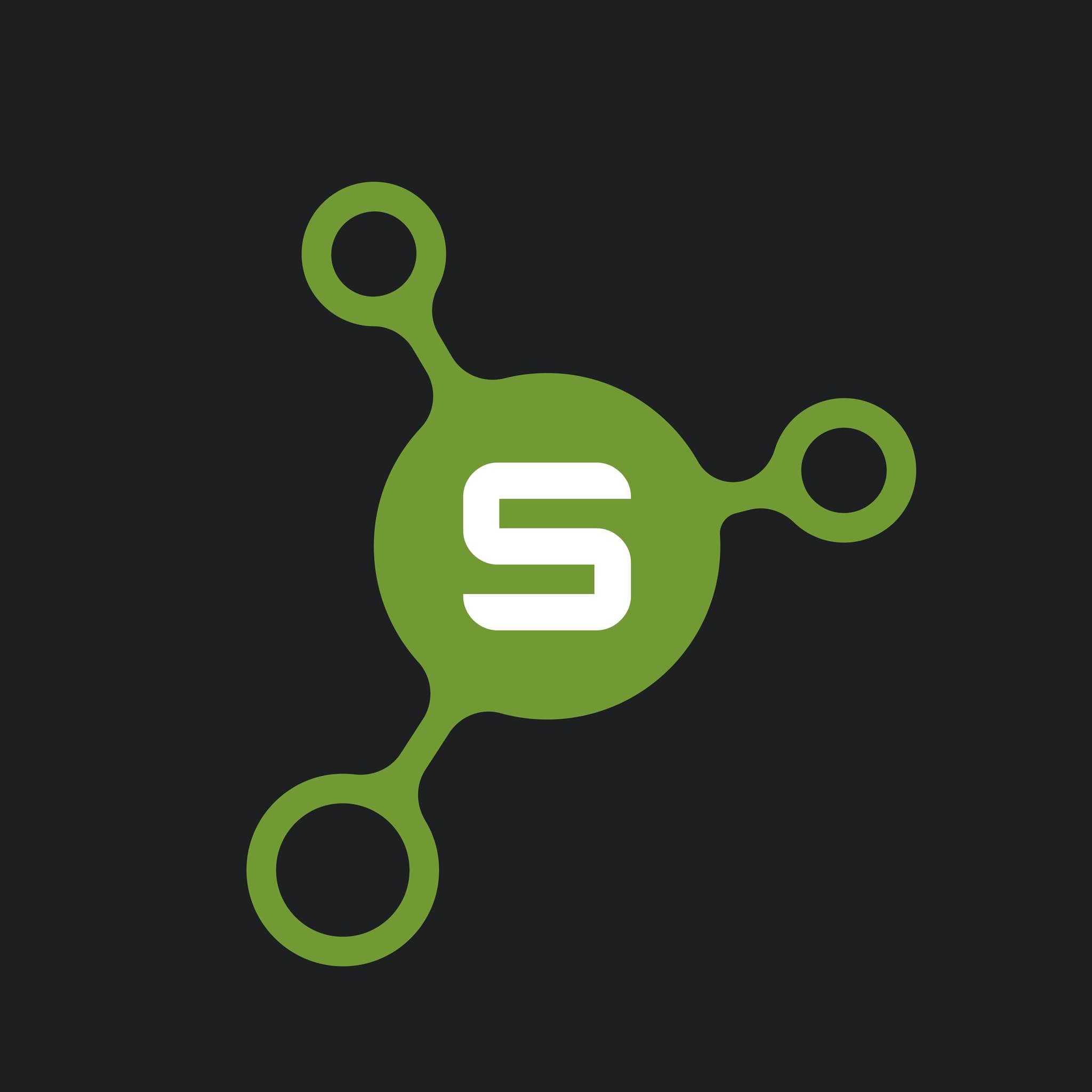 SaarLAN Logo